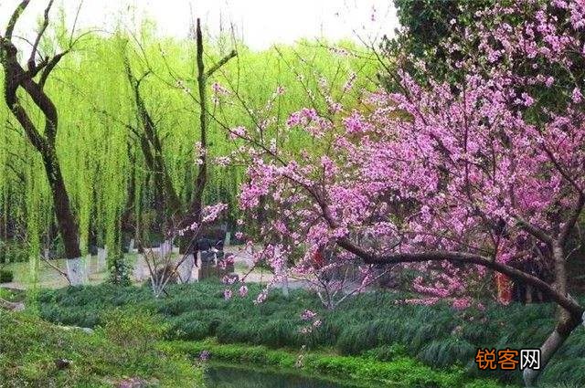 “社在春分后,穷人愁上头”,俗语农谚预测年景,啥说法？