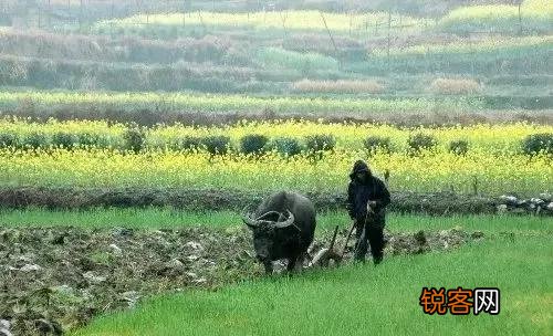 “社在春分后,穷人愁上头”,俗语农谚预测年景,啥说法？