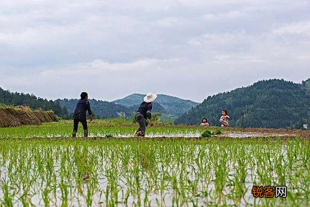 “社在春分后,穷人愁上头”,俗语农谚预测年景,啥说法？