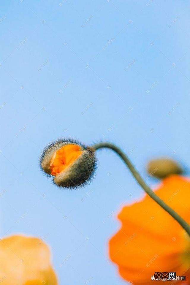 手机相机的专业模式怎么用？HDR是什么意思？