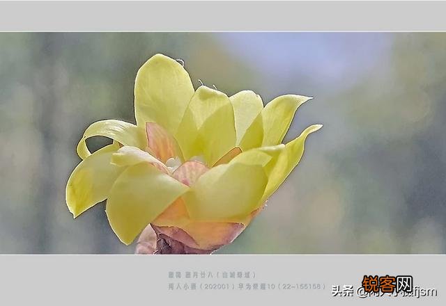手机拍照,什么情况下用HDR模式？你经常用吗？