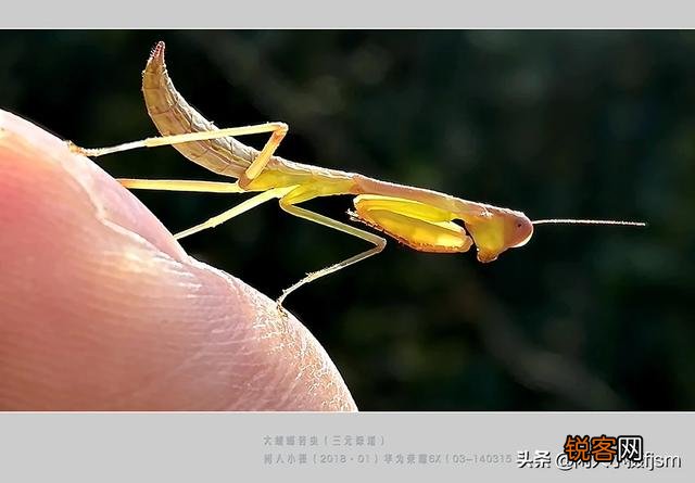 手机拍照,什么情况下用HDR模式？你经常用吗？