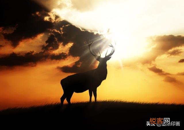 手机相机里“HDR”是什么功能？如何使用才能达到最佳效果？