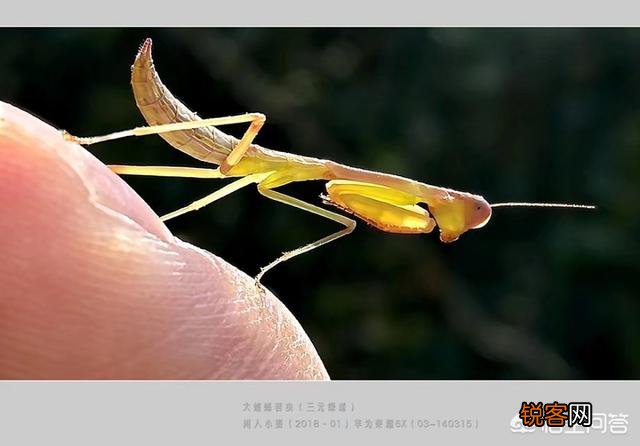 手机相机里“HDR”是什么功能？如何使用才能达到最佳效果？