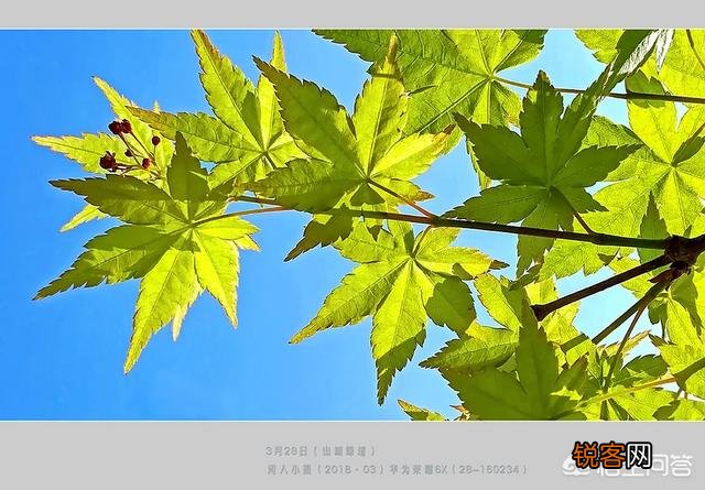 手机相机里“HDR”是什么功能？如何使用才能达到最佳效果？