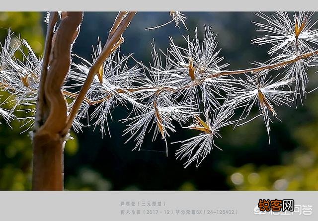 手机相机里“HDR”是什么功能？如何使用才能达到最佳效果？