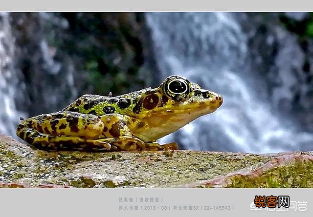 手机相机里“HDR”是什么功能？如何使用才能达到最佳效果？