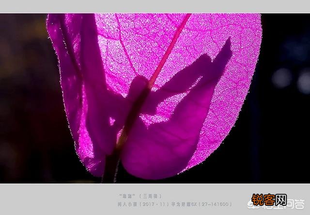 手机相机里“HDR”是什么功能？如何使用才能达到最佳效果？