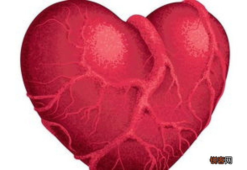 什么东西最补心脏