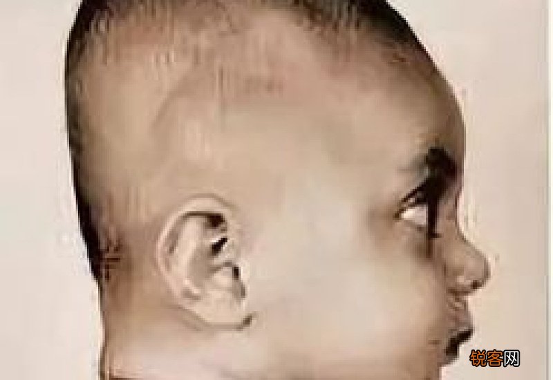 芥末为什么会冲后脑勺