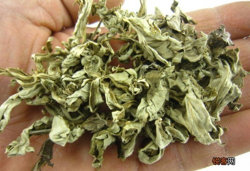 眼睛痒用艾叶煮水可以吗