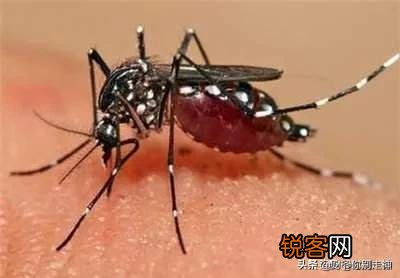 乡镇快递代理点究竟赚不赚钱？为啥有人说赚钱,有人说不赚钱？