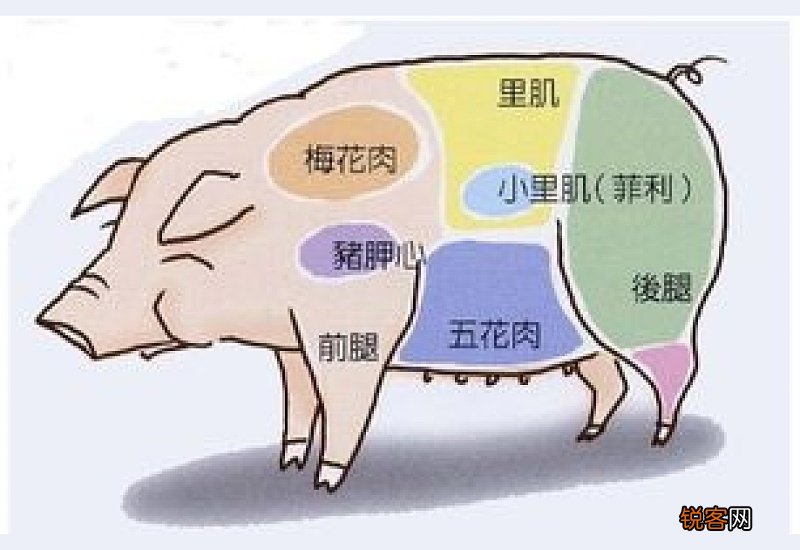 猪踭肉是什么部位