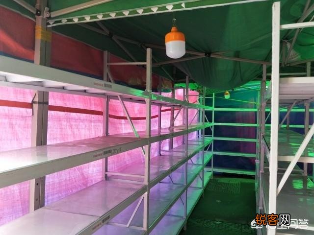 运营一个快递点的成本高吗？