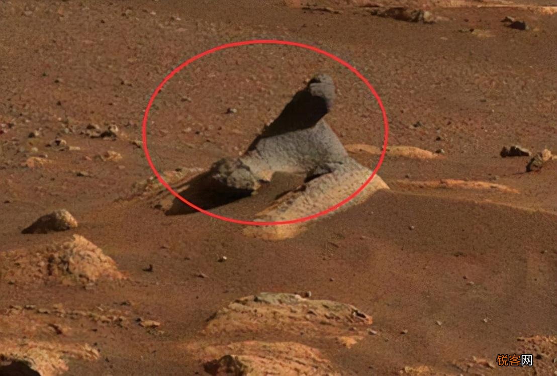 拍到的真容令人意外 月球发现神秘小屋真相