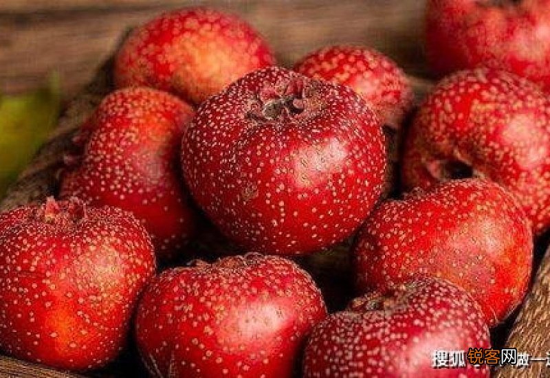 山楂苹果红枣煮水喝可以治积食吗