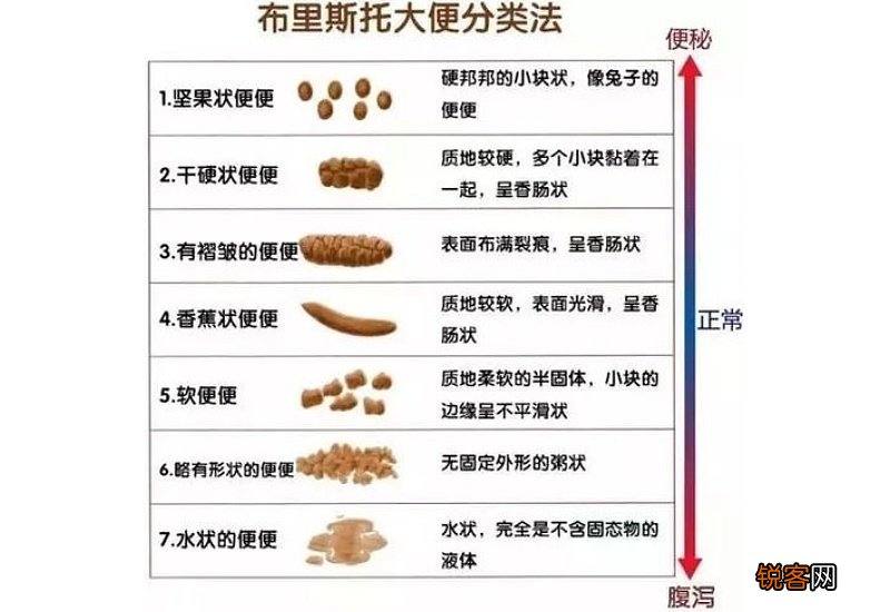 几天不排便大便去哪了