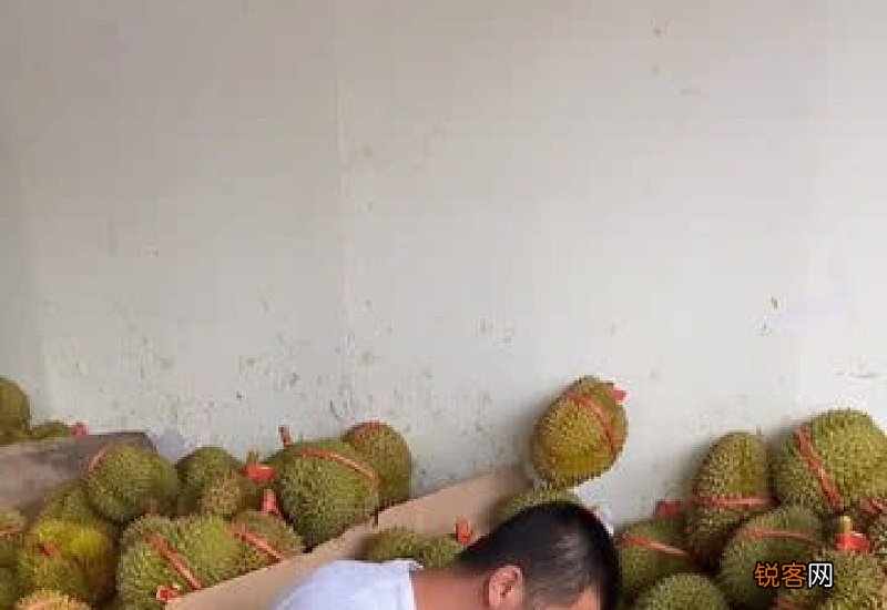 怎么样看榴莲是否熟了