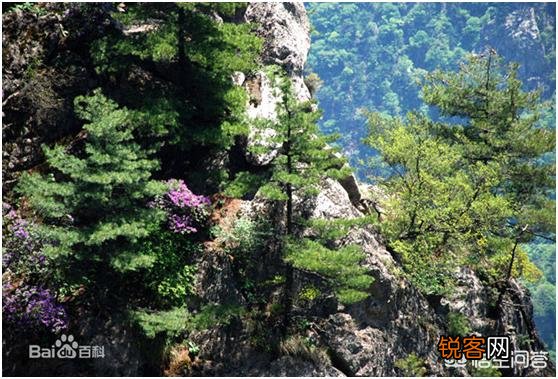 带孩子去洛阳旅游,有哪些名篇古迹？