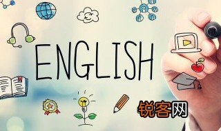 骡子英语怎么读 骡子用英语怎么读?