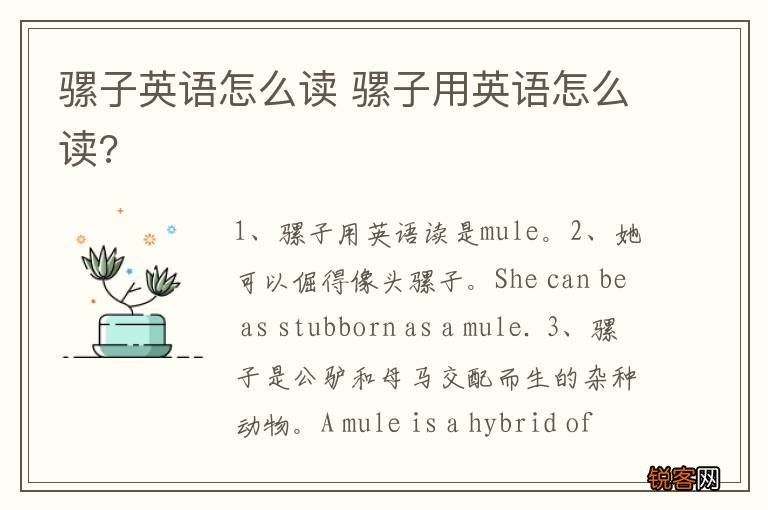 骡子英语怎么读 骡子用英语怎么读?