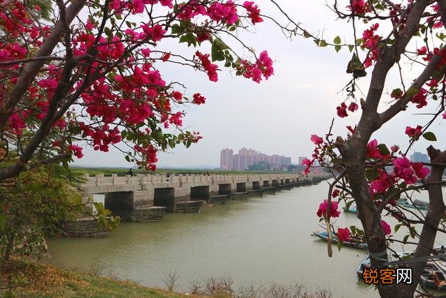 泉州洛阳桥的由来,有什么历史介绍吗？