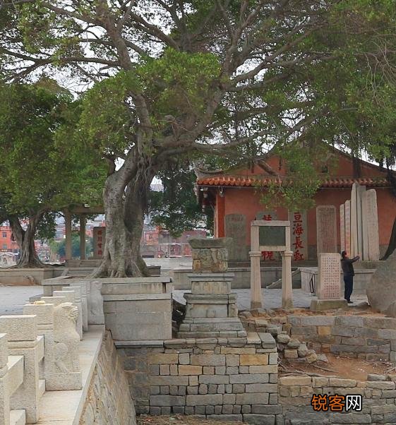 泉州洛阳桥的由来,有什么历史介绍吗？