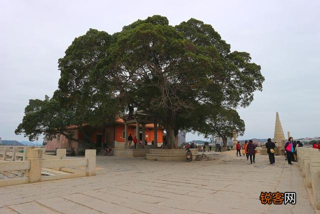 泉州洛阳桥的由来,有什么历史介绍吗？