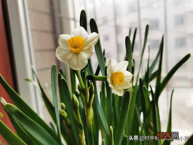 兵马俑为什么门票这么贵？你怎么看？