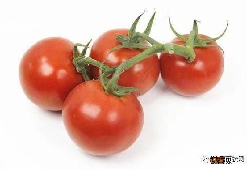 每天吃西红柿真的能美白吗？西红柿什么时候吃最好