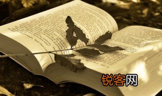 团结协作的意思 团结协作的解释