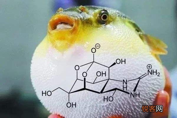 “海地僵尸事件”是怎么回事,世界上真的有僵尸存在吗？