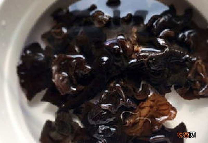 温水泡木耳泡多久能吃