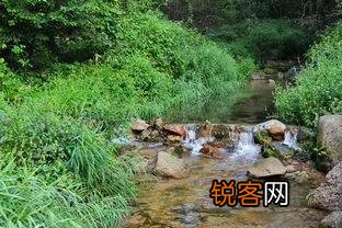 哪些书籍对你影响很深？