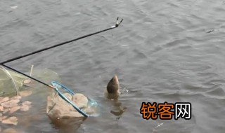 钓鱼是什么意思 钓鱼的主要工具有什么