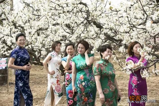 可以给我推荐一本您最喜欢的书吗？鄙人肯定会看的？