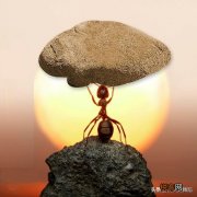 对你人生成长有益的一本或几本书是什么？推荐的理由呢？