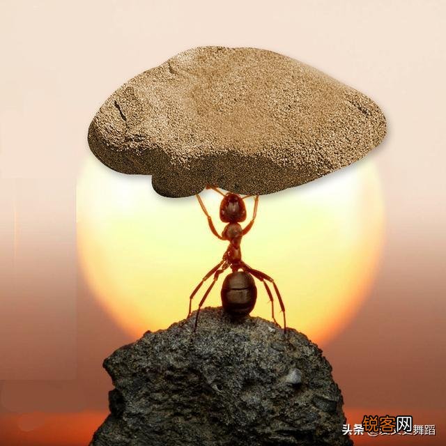 对你人生成长有益的一本或几本书是什么？推荐的理由呢？