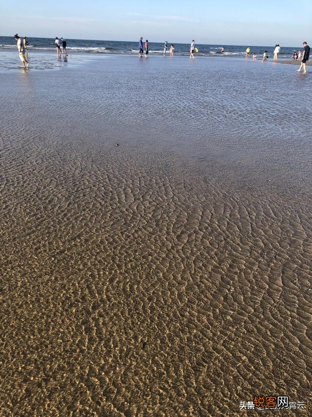 最近在家闲着,想看些书,有哪些推荐吗？