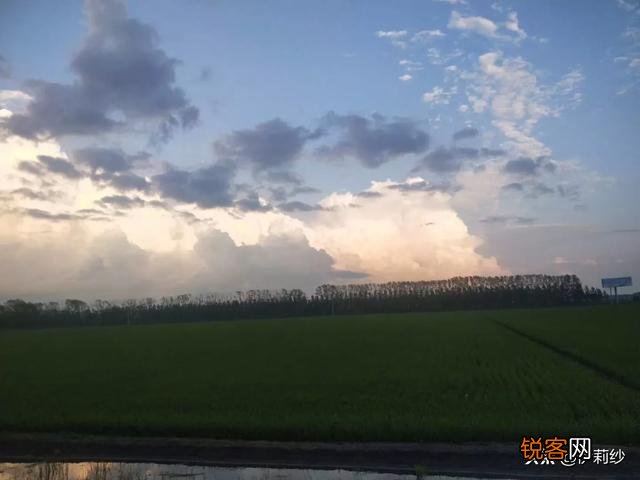 哪些书书名平平,却能让你反复阅读好几遍？