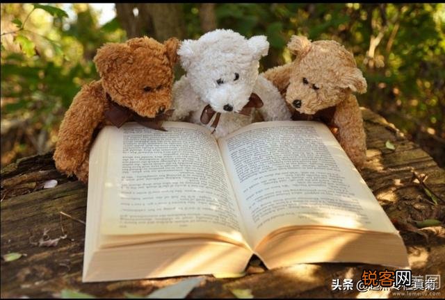 哪些书书名平平,却能让你反复阅读好几遍？