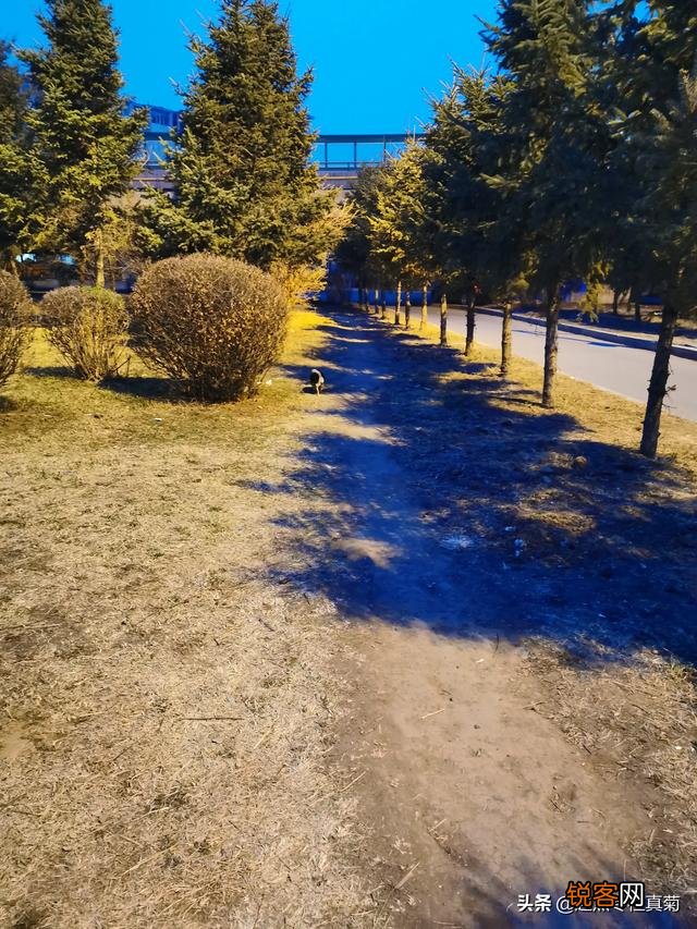 哪些书书名平平,却能让你反复阅读好几遍？