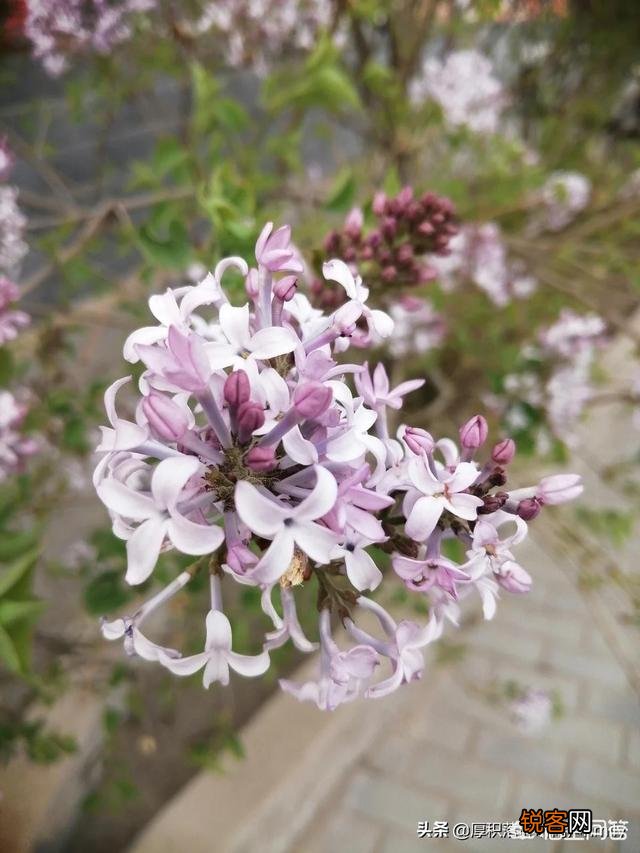 好书大家看,你能向网友推荐一本好书吗？并写出推荐理由？