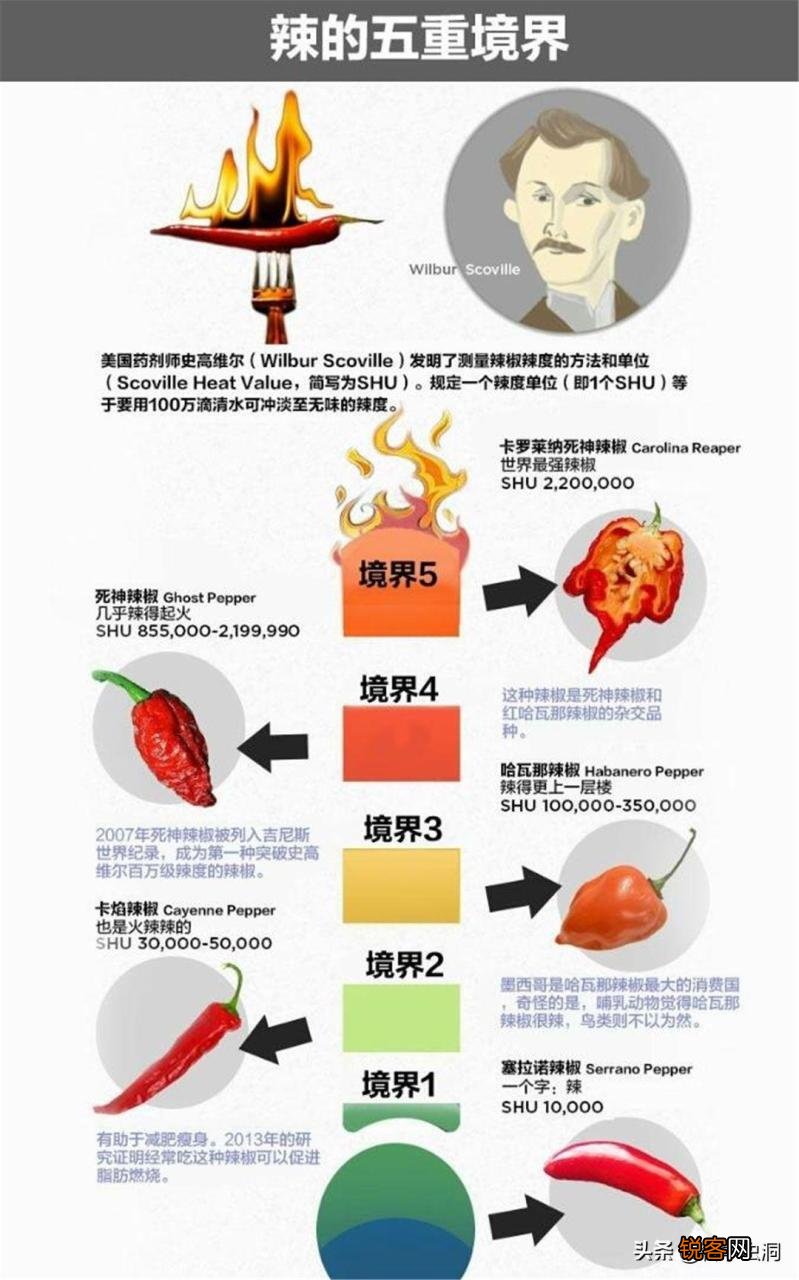 龙息辣椒有多可怕 卡罗莱纳死神的辣度
