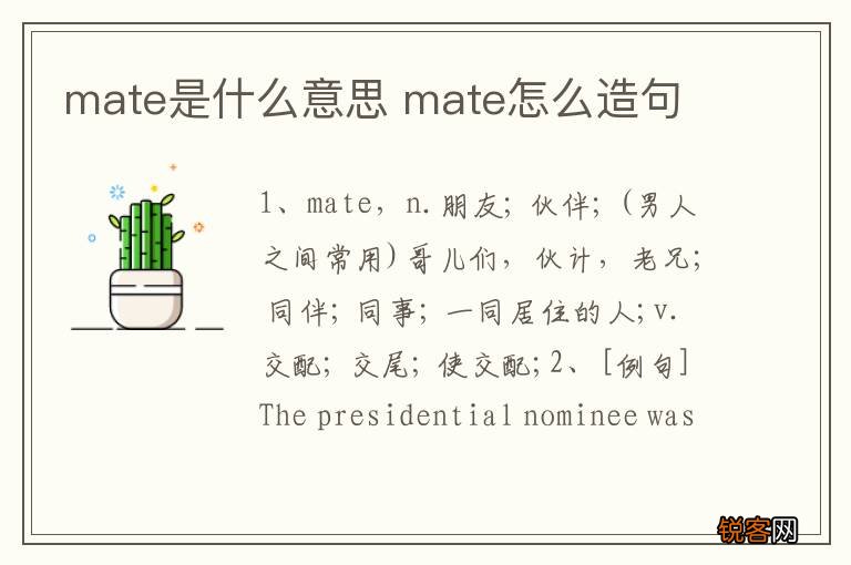 mate是什么意思 mate怎么造句