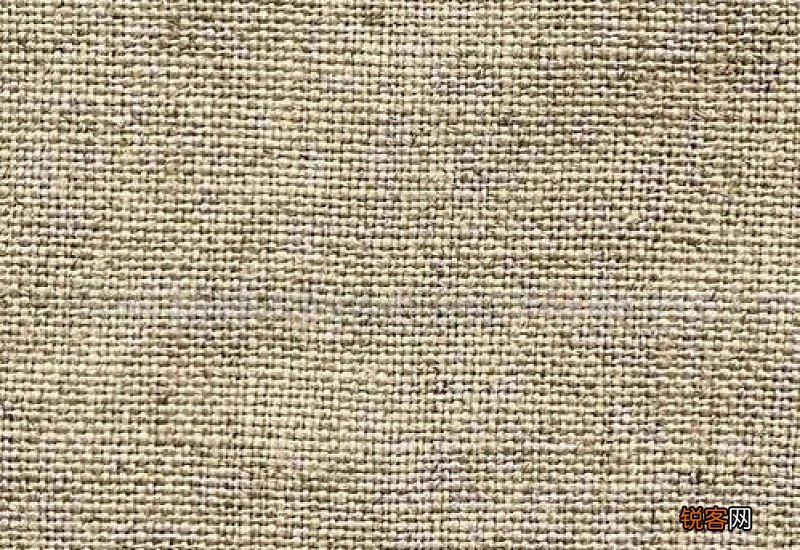 苧麻是什么面料