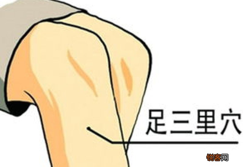 足三里什么时候不能按