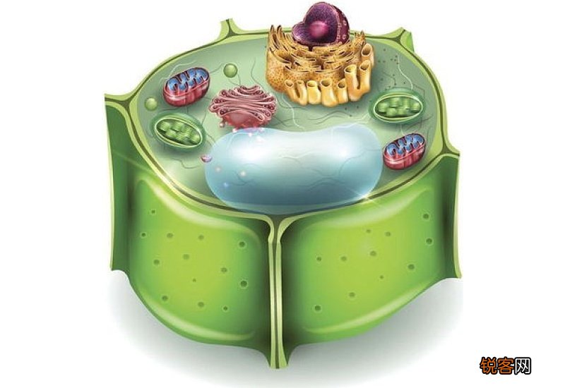 儿童吹泡泡水简单配方
