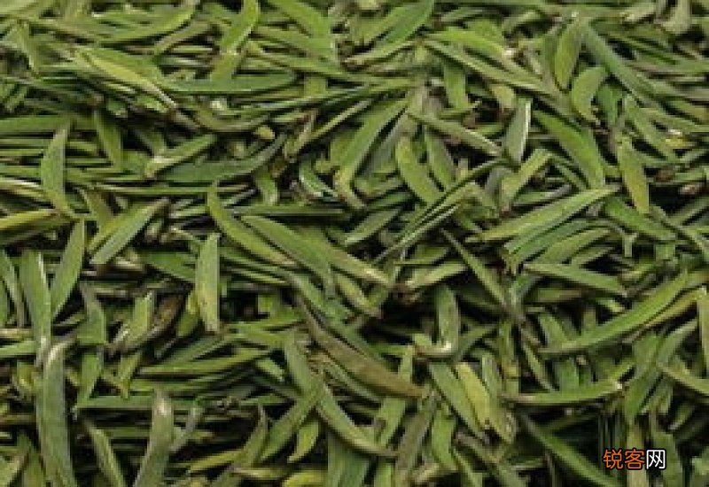 饮用散茶是哪个朝代