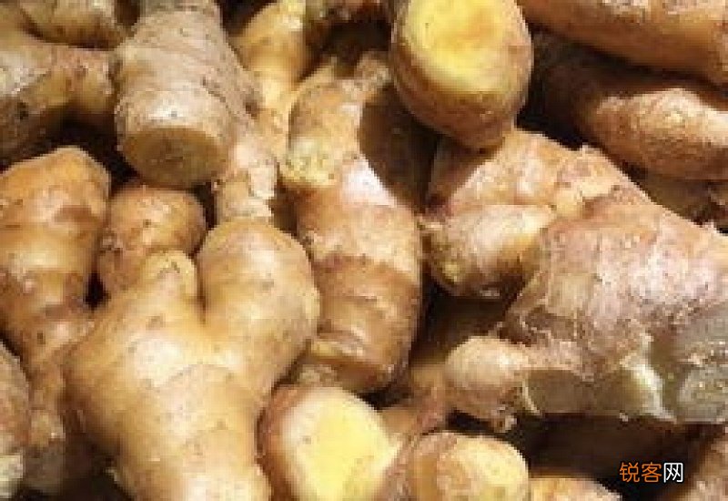 每天早晨吃姜有什么好处 吃姜对人体有什么好处